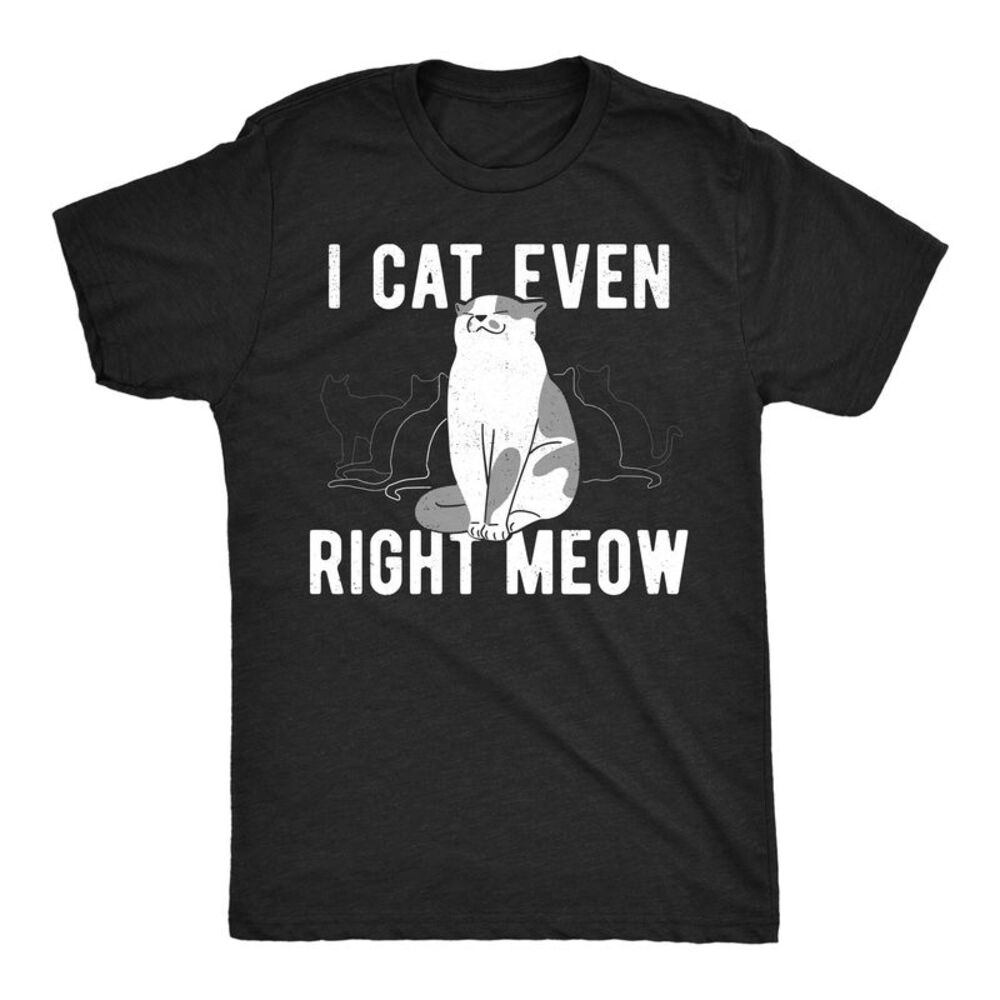 Mens Funny T Shirts I Cant Even Right Meow Sarcastic Cat Joke Tee For Men